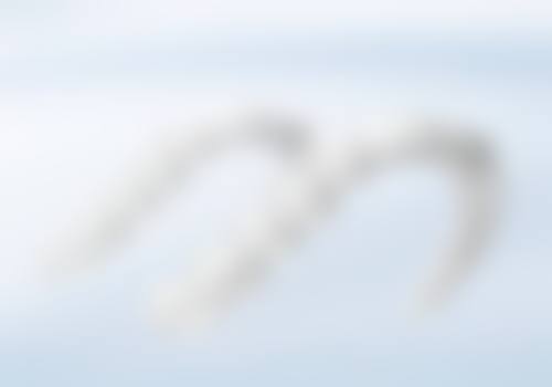 四、深圳同步齿科同诚门诊(岗厦店)特色项目