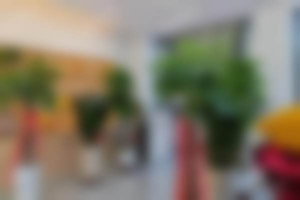 三、青铜峡陈萍口腔诊所医生介绍