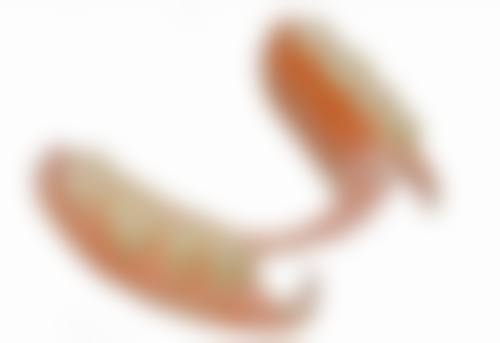 50岁可以做烤瓷牙吗？需综合口腔、牙齿、全身状况及心理预期，听医生建议再定！ 