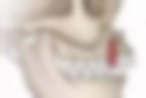 七、温州瑞安顶新口腔门诊部地址电话及营业时间