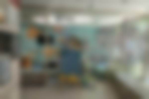 三、上海美维口腔门诊部医生介绍