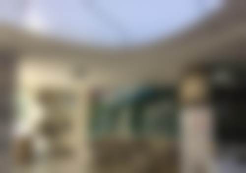 四、滨州皓贝尔口腔特色项目