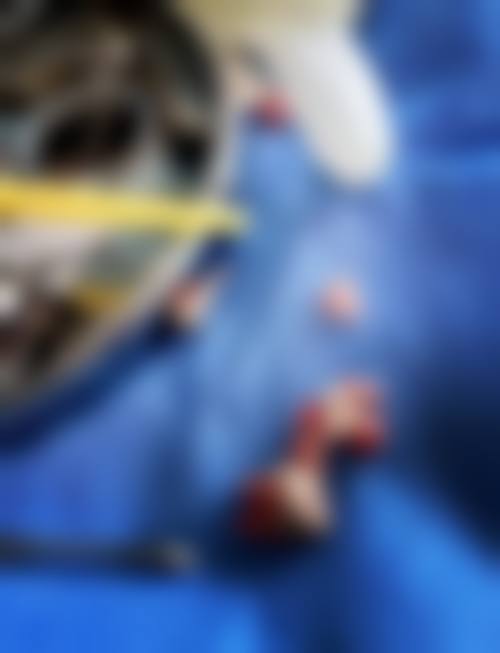 八、南通黄曦口腔诊所怎么预约？