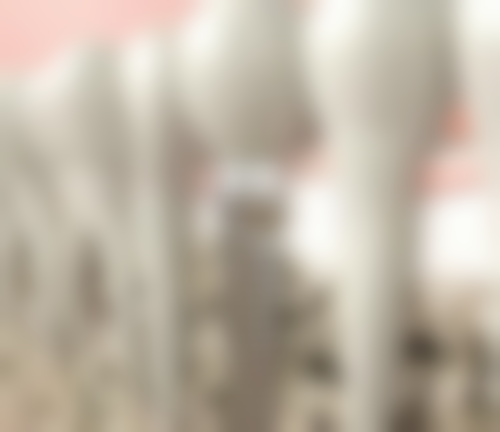 五、黑龙江齐齐哈尔牙博士收费价格表