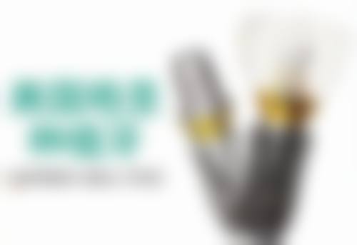 如何判断1000元全瓷牙的好坏