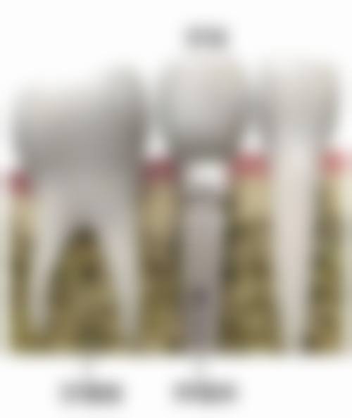 二、岳阳牙歪歪口腔(梅溪桥店)正规吗？来看医院资质信息