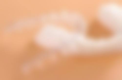 揭秘助牙齿美白的方案