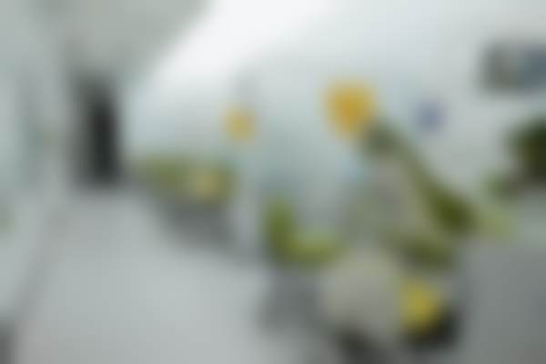 瑞士iti亲水种植牙的成效和修复情况