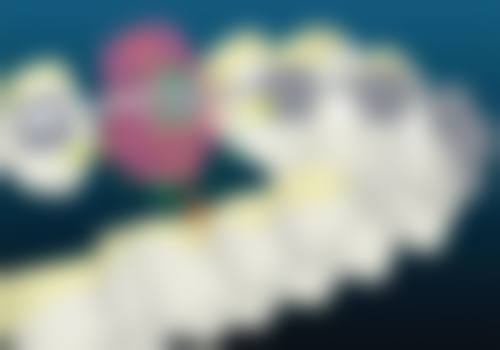 三、北京美呀奥仕口腔医生介绍