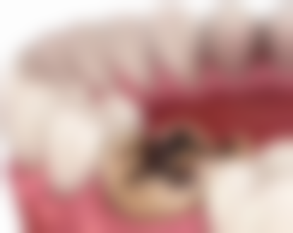 补牙后的注意事项