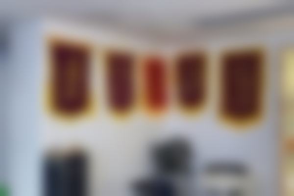 【补牙2颗】套餐使用的3MZ250材料特点