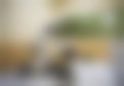 三、西安圣贝口腔史莉娜医生资质信息