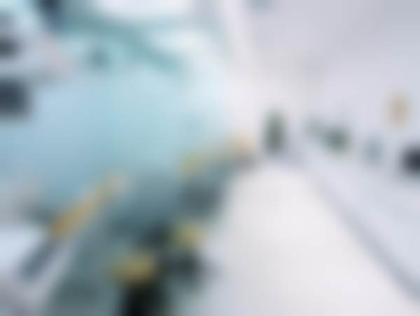 二、西安圣贝口腔史莉娜医生擅长项目