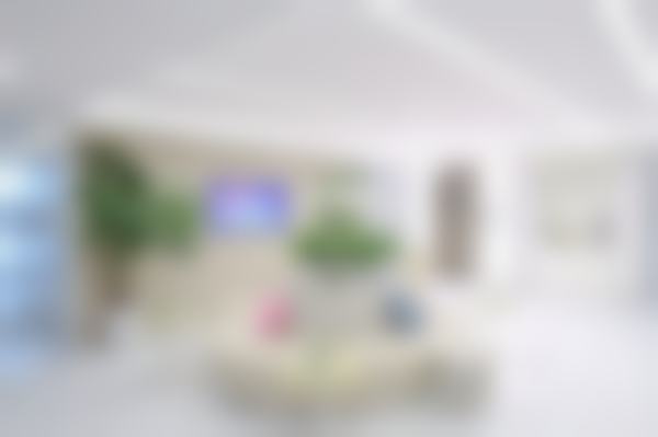 美奥口腔全瓷贴面项目品牌获奖情况