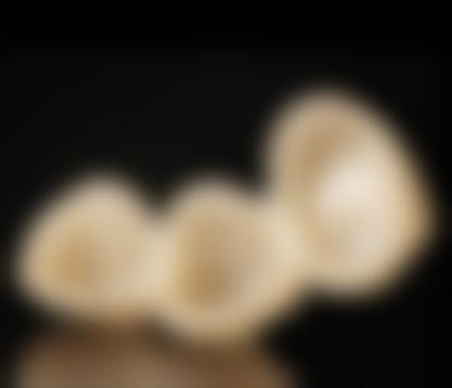 三、广东广州智达口腔医生介绍