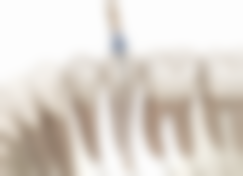 二、天津武清恒茂泽美口腔诊所正规吗？来看医院资质信息