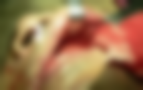 二、金华怡和口腔正规吗？来看医院资质信息