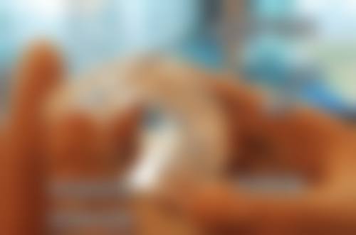 六、聊城精良口腔诊所口碑如何?