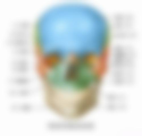 八、罗缘口腔门诊部怎么预约？