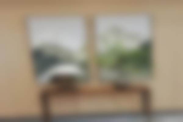 四、东莞南城祥禾口腔门诊部特色项目