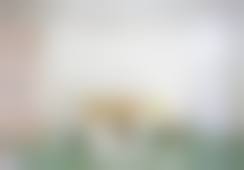 七、西安圣贝口腔史莉娜医生怎么预约？