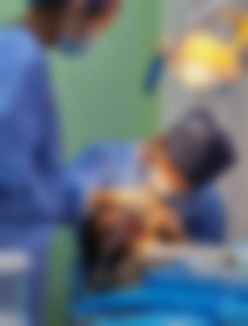 三、聚和口腔门诊部医生介绍