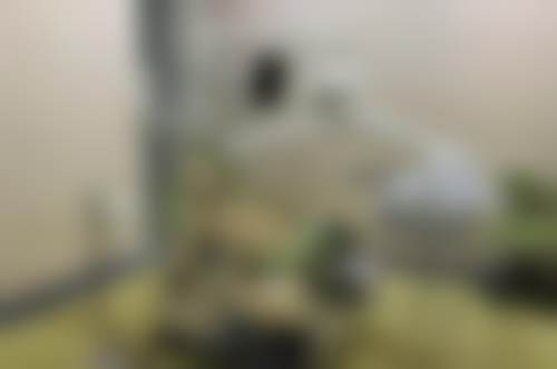 八、嘉兴摩尔口腔门诊部怎么预约?