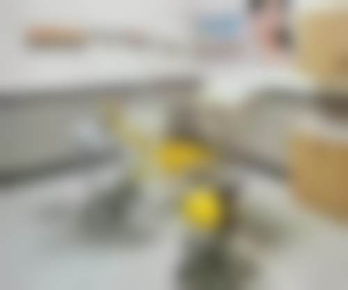 六、阿克苏沙雅锐珂口腔门诊部口碑如何?