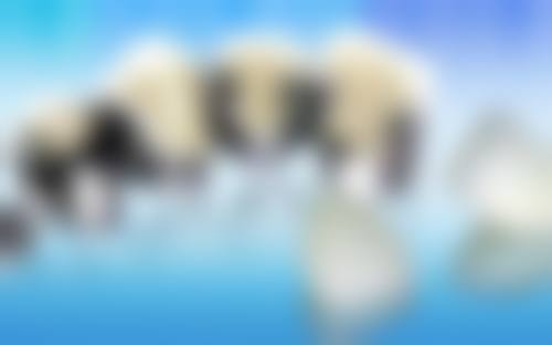 六、深圳亮明珠口腔门诊部口碑如何?