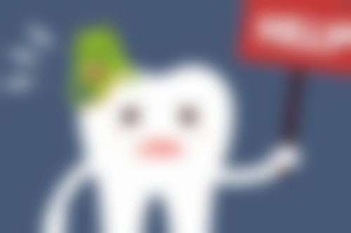 南召县陈旭:羊肚菌种植产业带头人
