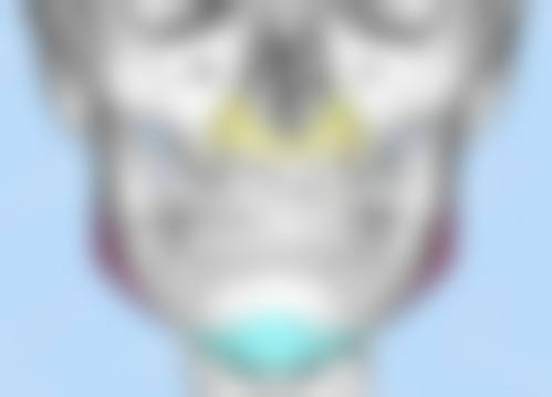 FAQ:常见问题解答