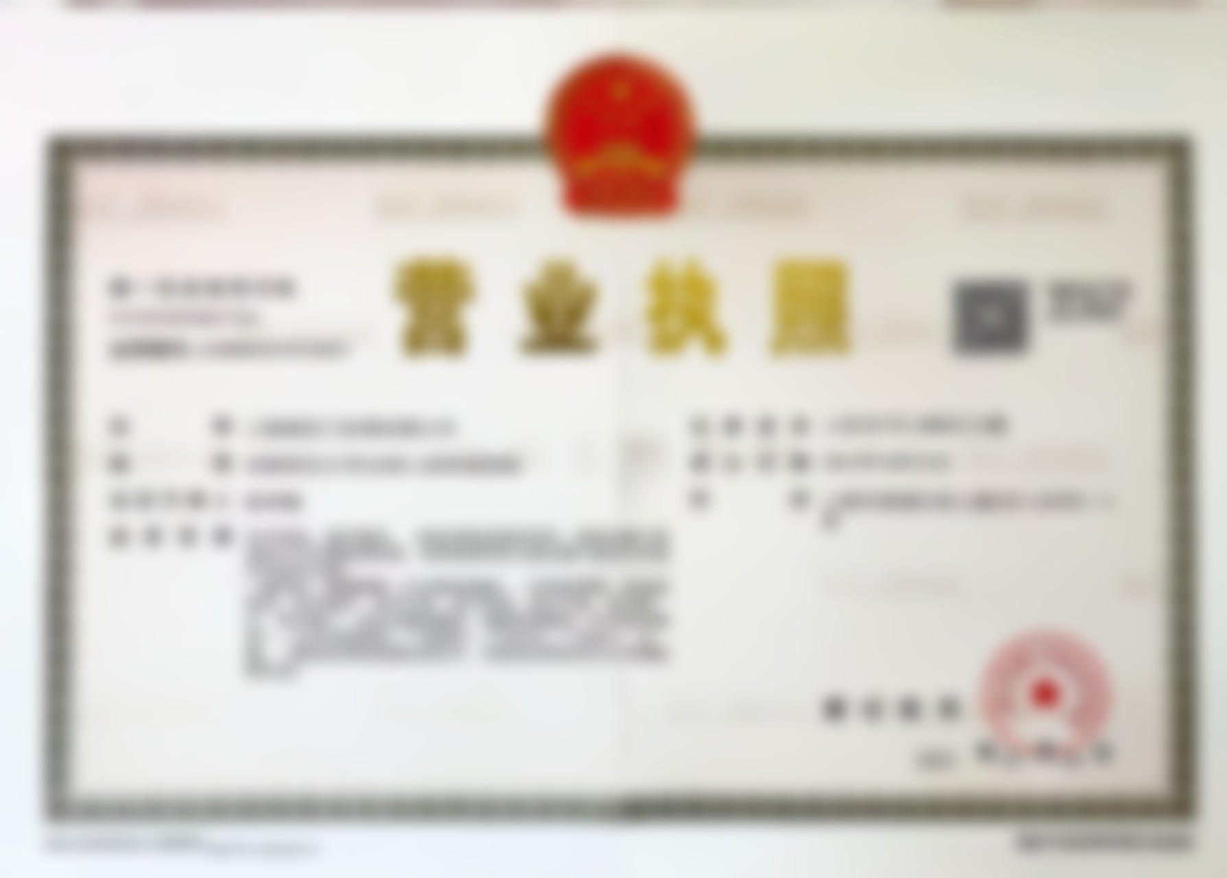 核心项目解析:瑞蓝玻尿酸五支中面部精细化雕刻