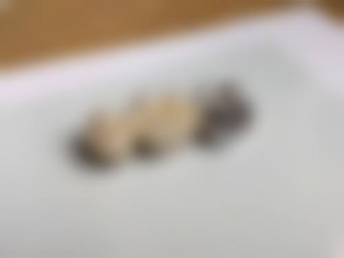 常见问题解答