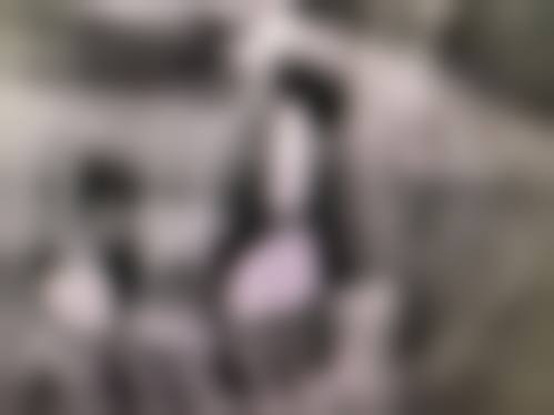 常见问题解答与预约指南