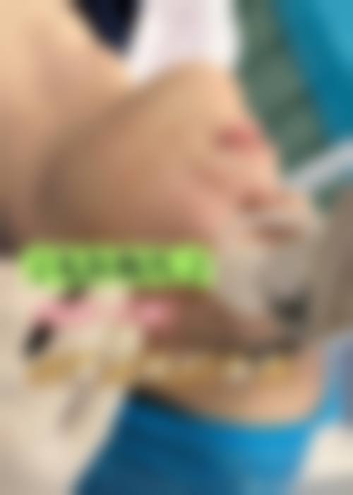 医院资质与合规认证分析