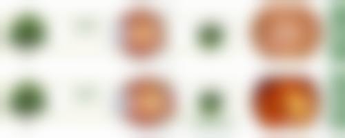 特色项目与价格参考