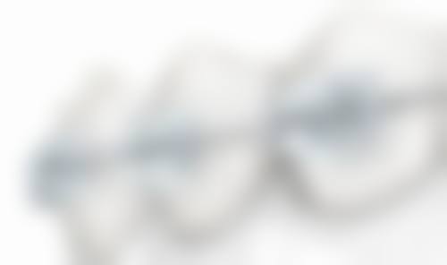 特色项目与技术优势解析