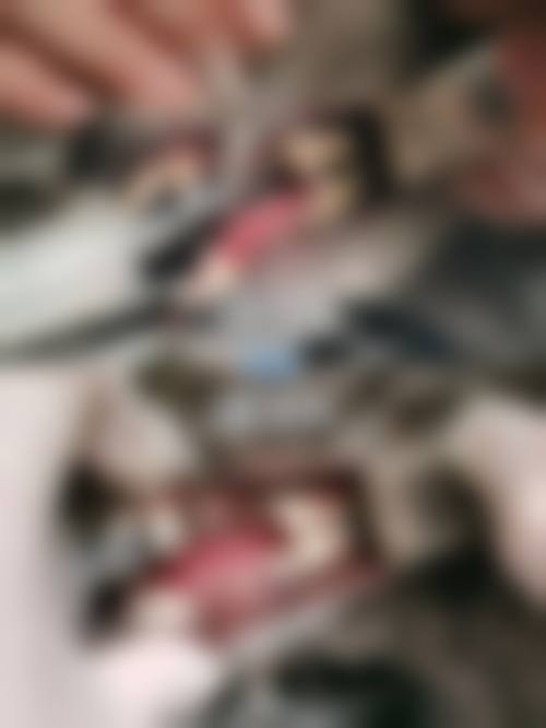 资质合规与环境优势解析