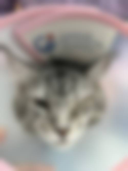 结尾预约号召