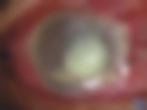 透明价格体系与个性化治疗方案