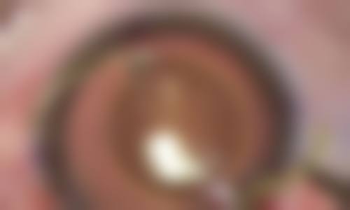 总结与预约指引