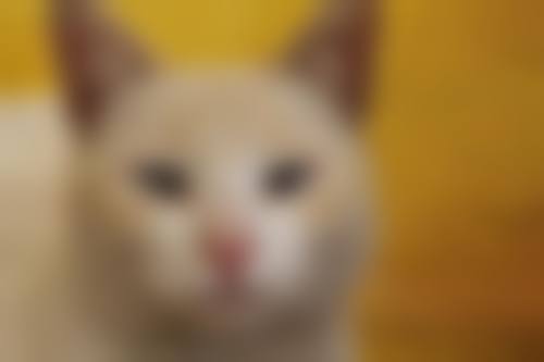 总结与预约指引