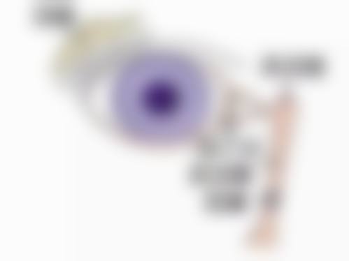 擅长项目详解