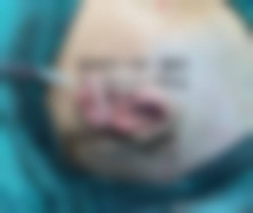 核心医生团队与技术优势