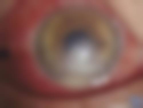 诊疗特色总结