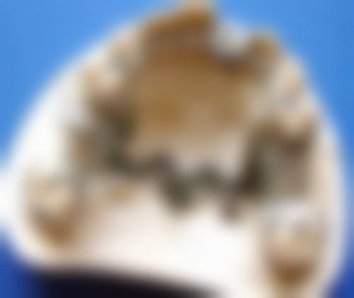 结尾预约号召