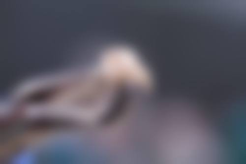 三、陕西榆林米脂县护牙士口腔医生介绍